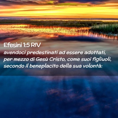 Picture 02 - Efesini 1:5 RIV - avendoci predestinati ad essere adottati, per - Bible Verse Picture