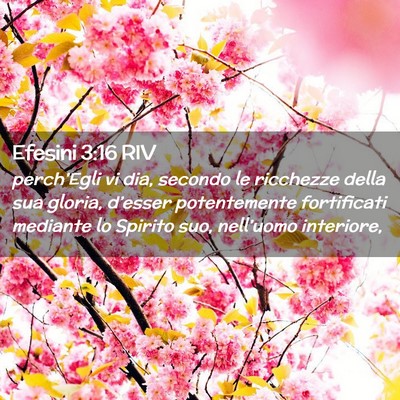 Picture 02 - Efesini 3:16 RIV - perch’Egli vi dia, secondo le ricchezze della - Bible Verse Picture