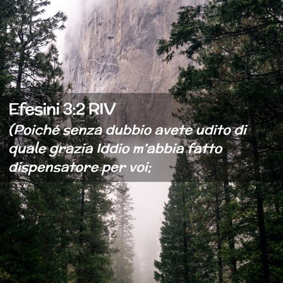 Picture 02 - Efesini 3:2 RIV - (Poiché senza dubbio avete udito di quale grazia - Bible Verse Picture