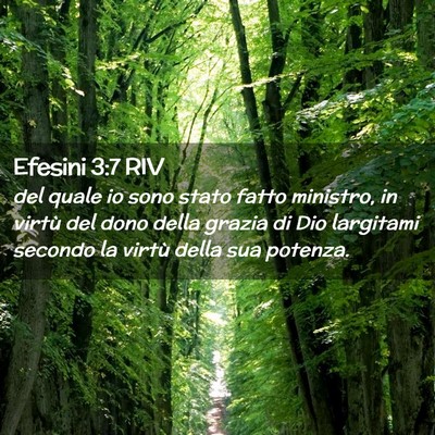 Picture 02 - Efesini 3:7 RIV - del quale io sono stato fatto ministro, in virtù - Bible Verse Picture