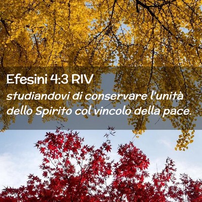 Picture 02 - Efesini 4:3 RIV - studiandovi di conservare l’unità dello - Bible Verse Picture