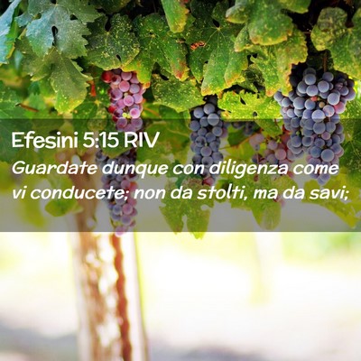Picture 02 - Efesini 5:15 RIV - Guardate dunque con diligenza come vi conducete; - Bible Verse Picture