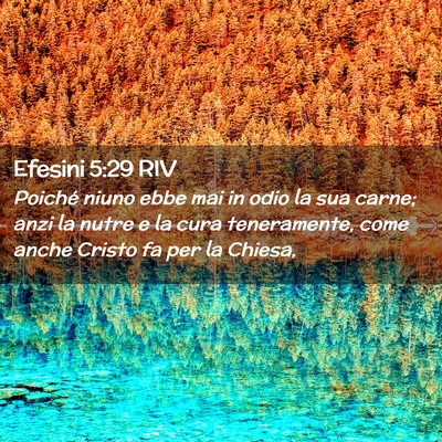 Picture 02 - Efesini 5:29 RIV - Poiché niuno ebbe mai in odio la sua carne; anzi - Bible Verse Picture