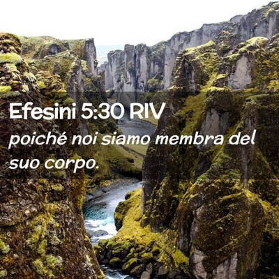 Picture 02 - Efesini 5:30 RIV - poiché noi siamo membra del suo - Bible Verse Picture