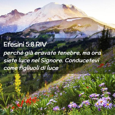 Picture 02 - Efesini 5:8 RIV - perché già eravate tenebre, ma ora siete luce - Bible Verse Picture