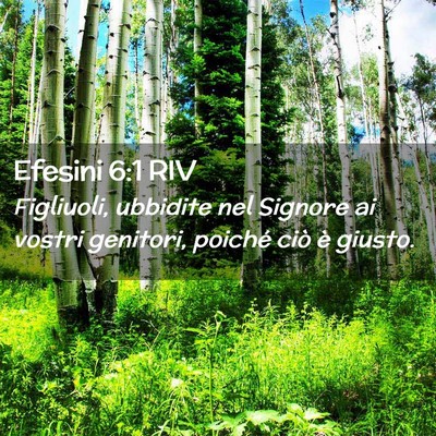 Picture 02 - Efesini 6:1 RIV - Figliuoli, ubbidite nel Signore ai vostri - Bible Verse Picture