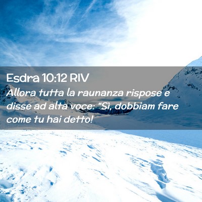 Picture 02 - Esdra 10:12 RIV - Allora tutta la raunanza rispose e disse ad alta - Bible Verse Picture