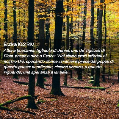 Picture 02 - Esdra 10:2 RIV - Allora Scecania, figliuolo di Jehiel, uno de’ - Bible Verse Picture