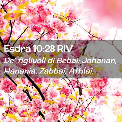Picture 02 - Esdra 10:28 RIV - De’ figliuoli di Bebai: Johanan, Hanania, - Bible Verse Picture