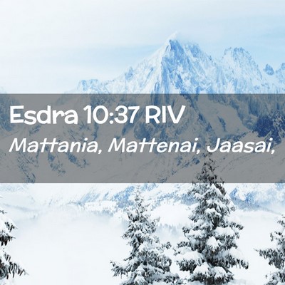 Picture 02 - Esdra 10:37 RIV - Mattania, Mattenai, - Bible Verse Picture