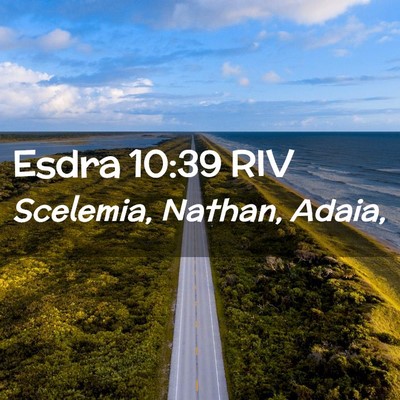 Picture 02 - Esdra 10:39 RIV - Scelemia, Nathan, - Bible Verse Picture