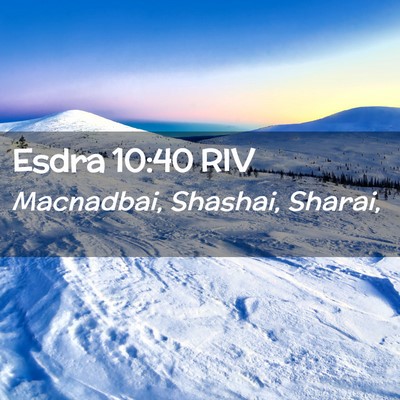 Picture 02 - Esdra 10:40 RIV - Macnadbai, Shashai, - Bible Verse Picture