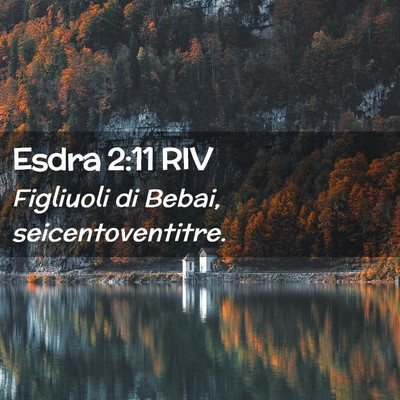 Picture 02 - Esdra 2:11 RIV - Figliuoli di Bebai, - Bible Verse Picture