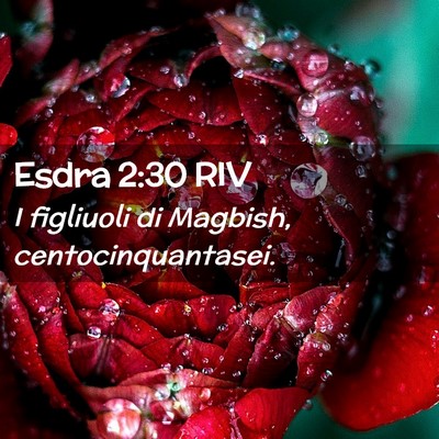 Picture 02 - Esdra 2:30 RIV - I figliuoli di Magbish, - Bible Verse Picture
