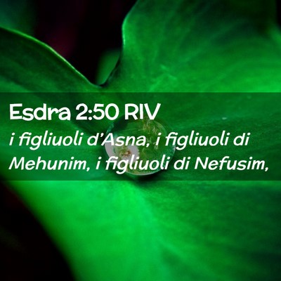Picture 02 - Esdra 2:50 RIV - i figliuoli d’Asna, i figliuoli di Mehunim, i - Bible Verse Picture