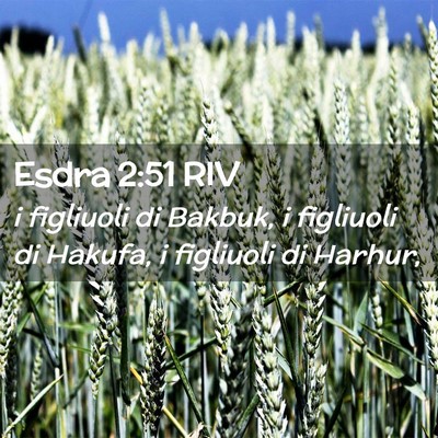 Picture 02 - Esdra 2:51 RIV - i figliuoli di Bakbuk, i figliuoli di Hakufa, i - Bible Verse Picture