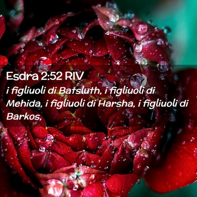 Picture 02 - Esdra 2:52 RIV - i figliuoli di Batsluth, i figliuoli di Mehida, i - Bible Verse Picture