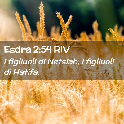 Picture 02 - Esdra 2:54 RIV - i figliuoli di Netsiah, i figliuoli di - Bible Verse Picture