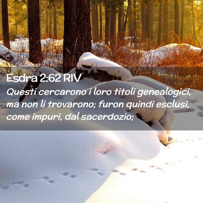 Picture 02 - Esdra 2:62 RIV - Questi cercarono i loro titoli genealogici, ma - Bible Verse Picture