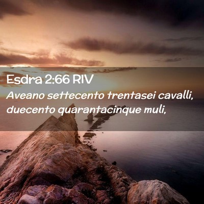 Picture 02 - Esdra 2:66 RIV - Aveano settecento trentasei cavalli, duecento - Bible Verse Picture