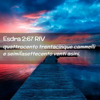 Picture 02 - Esdra 2:67 RIV - quattrocento trentacinque cammelli e - Bible Verse Picture
