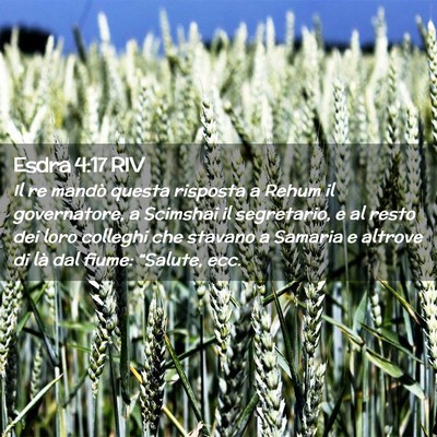 Picture 02 - Esdra 4:17 RIV - Il re mandò questa risposta a Rehum il - Bible Verse Picture