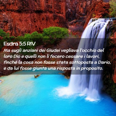 Picture 02 - Esdra 5:5 RIV - Ma sugli anziani dei Giudei vegliava l’occhio - Bible Verse Picture