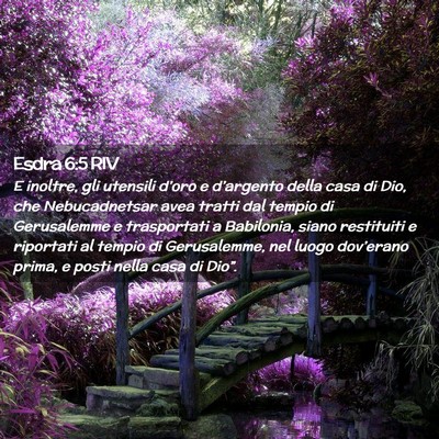 Picture 02 - Esdra 6:5 RIV - E inoltre, gli utensili d’oro e d’argento - Bible Verse Picture