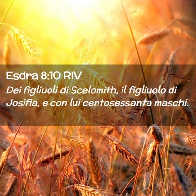 Picture 02 - Esdra 8:10 RIV - Dei figliuoli di Scelomith, il figliuolo di - Bible Verse Picture