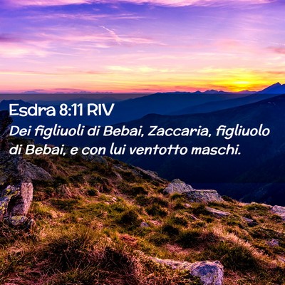 Picture 02 - Esdra 8:11 RIV - Dei figliuoli di Bebai, Zaccaria, figliuolo di - Bible Verse Picture
