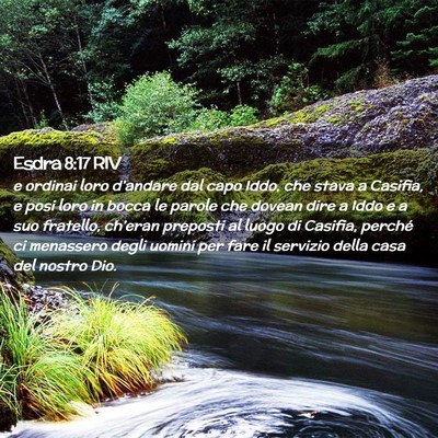Picture 02 - Esdra 8:17 RIV - e ordinai loro d’andare dal capo Iddo, che - Bible Verse Picture