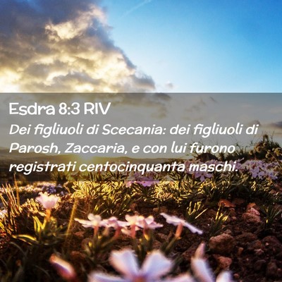 Picture 02 - Esdra 8:3 RIV - Dei figliuoli di Scecania: dei figliuoli di - Bible Verse Picture