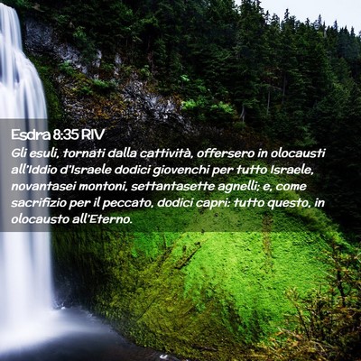 Picture 02 - Esdra 8:35 RIV - Gli esuli, tornati dalla cattività, offersero in - Bible Verse Picture