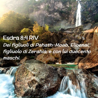 Picture 02 - Esdra 8:4 RIV - Dei figliuoli di Pahath-Moab, Elioenai, figliuolo - Bible Verse Picture
