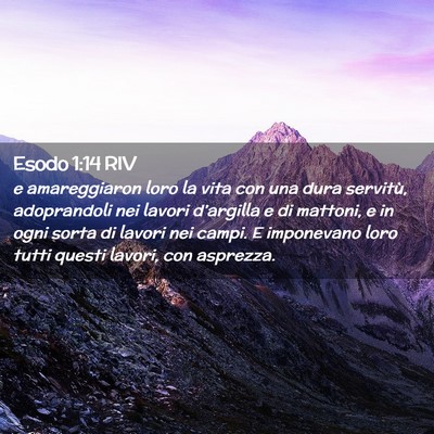 Picture 02 - Esodo 1:14 RIV - e amareggiaron loro la vita con una dura - Bible Verse Picture