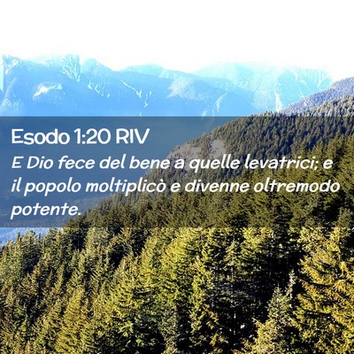 Picture 02 - Esodo 1:20 RIV - E Dio fece del bene a quelle levatrici; e il - Bible Verse Picture