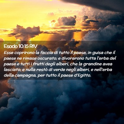 Picture 02 - Esodo 10:15 RIV - Esse coprirono la faccia di tutto il paese, in - Bible Verse Picture
