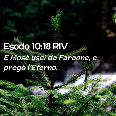 Picture 02 - Esodo 10:18 RIV - E Mosè uscì da Faraone, e pregò - Bible Verse Picture