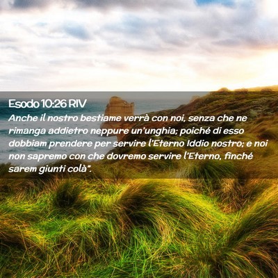 Picture 02 - Esodo 10:26 RIV - Anche il nostro bestiame verrà con noi, senza - Bible Verse Picture