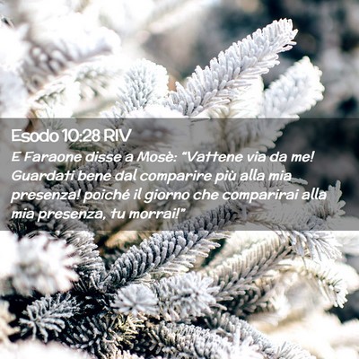 Picture 02 - Esodo 10:28 RIV - E Faraone disse a Mosè: “Vattene via da me! - Bible Verse Picture