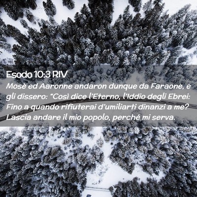 Picture 02 - Esodo 10:3 RIV - Mosè ed Aaronne andaron dunque da Faraone, e gli - Bible Verse Picture