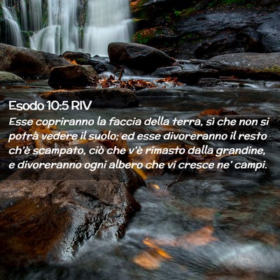 Picture 02 - Esodo 10:5 RIV - Esse copriranno la faccia della terra, sì che - Bible Verse Picture