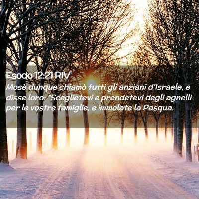 Picture 02 - Esodo 12:21 RIV - Mosè dunque chiamò tutti gli anziani - Bible Verse Picture