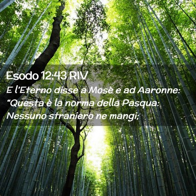 Picture 02 - Esodo 12:43 RIV - E l’Eterno disse a Mosè e ad Aaronne: - Bible Verse Picture