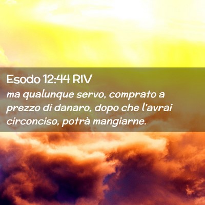 Picture 02 - Esodo 12:44 RIV - ma qualunque servo, comprato a prezzo di danaro, - Bible Verse Picture