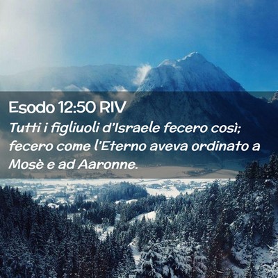 Picture 02 - Esodo 12:50 RIV - Tutti i figliuoli d’Israele fecero così; - Bible Verse Picture
