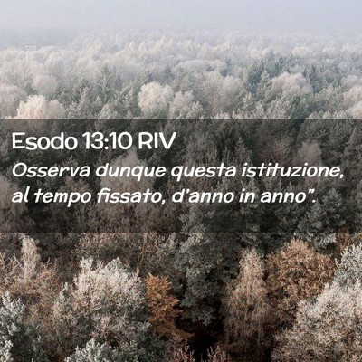 Picture 02 - Esodo 13:10 RIV - Osserva dunque questa istituzione, al tempo - Bible Verse Picture
