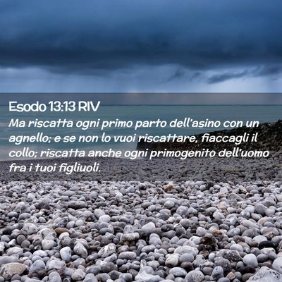 Picture 02 - Esodo 13:13 RIV - Ma riscatta ogni primo parto dell’asino con un - Bible Verse Picture