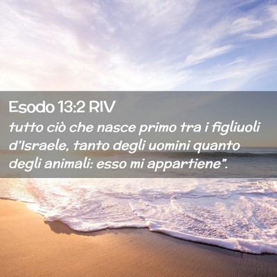 Picture 02 - Esodo 13:2 RIV - tutto ciò che nasce primo tra i figliuoli - Bible Verse Picture