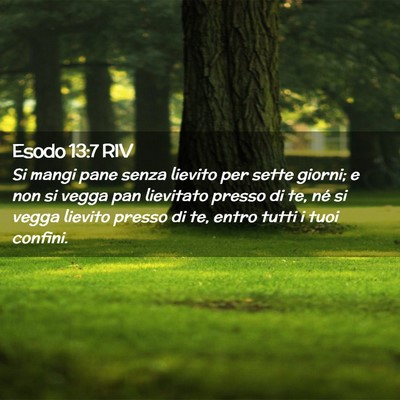 Picture 02 - Esodo 13:7 RIV - Si mangi pane senza lievito per sette giorni; e - Bible Verse Picture